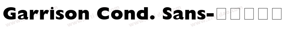 Garrison Cond. Sans字体转换